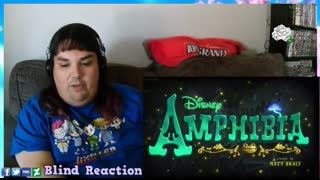 AMPHBA2x6 (Reaction)