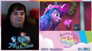 MLP MYM WW (Reaction)