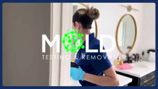 Mold abatement Los Angeles