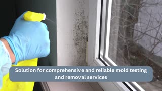 Mold testing service Los Angeles