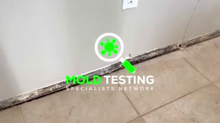 Los Angeles mold testing