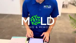 Dallas mold testing