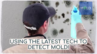 Mold removal companies Los Angeles