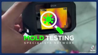 Mold inspection Los Angeles