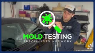 Mold inspection Los Angeles