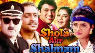 Shola Aur Shabnam  1992 || Govinda_Divya Bharati_Anupam Kher