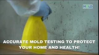 Mold Inspection Orange County, Mold Removal Orange County, Mold Testing Orange County - Mold Inspections near Culver city - Culver City, California