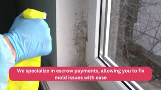 Mold removal companies Los Angeles