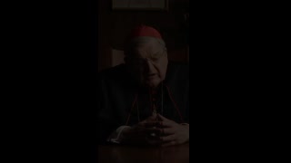 Cardinal Burke reflects that “only when we’ve lived through a period like Advent can we really celebrate Christmas with joy