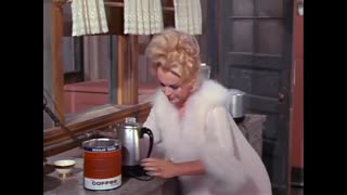 Green Acres - 1x9 - You Can't Plug In A 2 With A 6