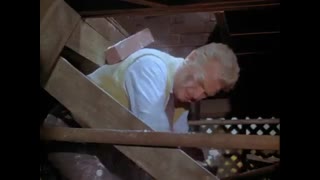 Green Acres - 2x2 - Water, Water Everywhere