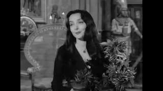 Addams Family - 1x34 - The Winning Of Morticia Addams