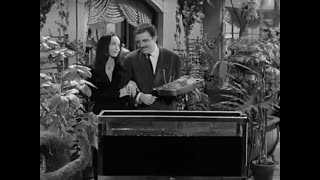 Addams Family - 1x5 - The Addams Family Tree