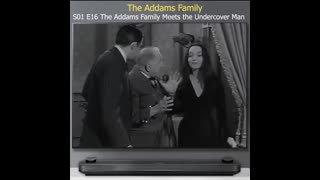 Addams Family - 1x16 - The Addams Family Meets The Undercover Man