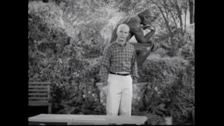 Dobie Gillis - 1x20 - The Power Of Positive Thinking