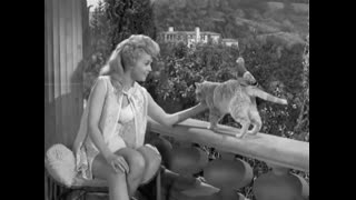 Beverly Hillbillies - 1x21 - Jed Plays Solomon