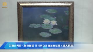 华夏电视台：为期六天的莫奈睡莲 玉花寿之王睡莲对话展盛大开幕