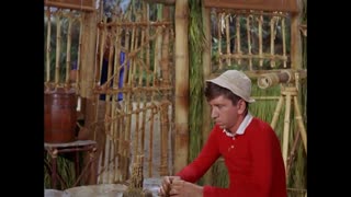 Gilligan's Island - S2E8 - Agonized Labor