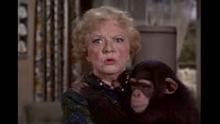 Bewitched - S4E10 - That Was No Chick, That Was My Wife