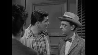 The Andy Griffith Show - S5E20 - Goober and the Art of Love