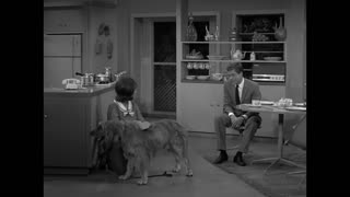 The Dick Van Dyke Show - S5E4 - The Ugliest Dog in the World