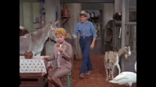 The Lucy Show - S4E14 - Lucy Discovers Wayne Newton