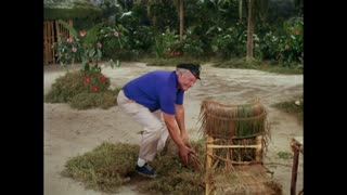 Gilligan's Island - S2E30 - V' for Vitamins