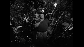 Gilligan's Island - S1E22 - Diamonds Are an Ape's Best Friend