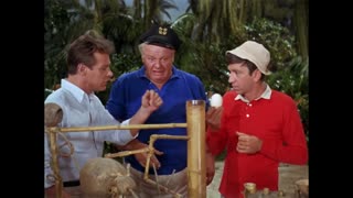 Gilligan's Island - S2E28 - Allergy Time