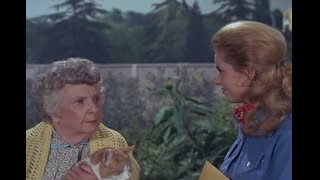 Bewitched - S5E20 - Mrs. Stephens, Where are You