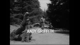 The Andy Griffith Show - S2E4 - Mayberry Goes Bankrupt