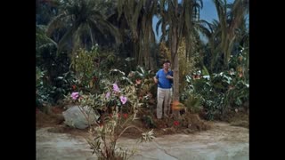 Gilligan's Island - S2E19 - Seer Gilligan