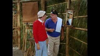 Gilligan's Island - S2E20 - Love Me, Love My Skipper