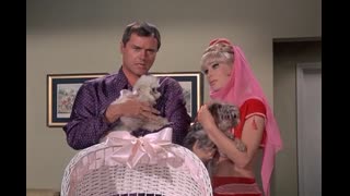 I Dream of Jeannie - S5E18 - Mrs. Djinn Djinn