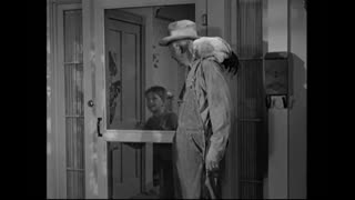 The Andy Griffith Show - S4E15 - Aunt Bee the Crusader