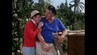 Gilligan's Island - S2E24 - Feed the Kitty