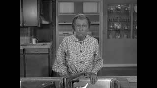 The Beverly Hillbillies - S3E8 - Teenage Idol