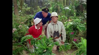 Gilligan's Island - S3E7 - Man with a Net