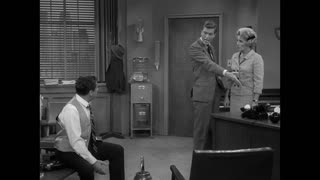 The Dick Van Dyke Show - S5E10 - Go Tell the Birds and the Bees