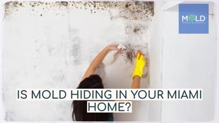 Mold inspection near Culver City