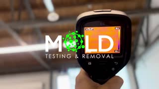 Mold inspection Los Angeles 424-369-7947