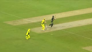 Pakistan vs Australia ¦ T20I Highlights 