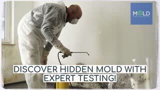 MOLD TESTING AND MOLD REMOVAL LOS ANGELES