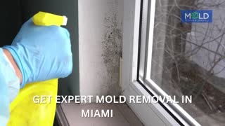 Mold Testing and Mold Removal - Mold Removal Miami, Miami Mold Removal