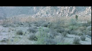 Twentynine Palms (2003) cut