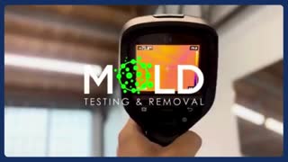 Mold inspection Los Angeles