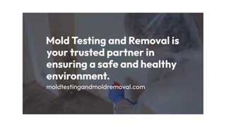 Mold Testing and MOLD REMOVAL los angeles