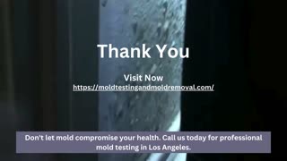 Ensure Your Home's Safety Professional Mold Testing in Los Angeles