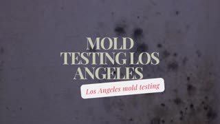 Ensure Your Home's Safety Professional Mold Testing in Los Angeles