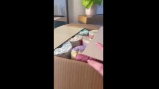 Lovely Poo Poo Unboxing